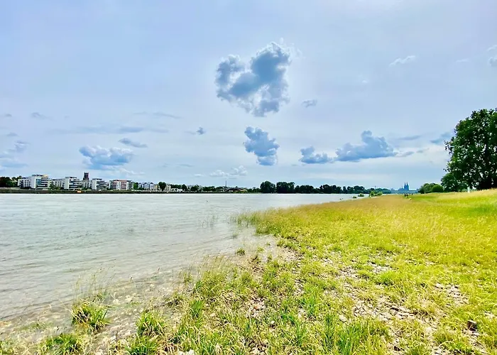 The * Köln